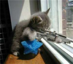 kitty with l96a1