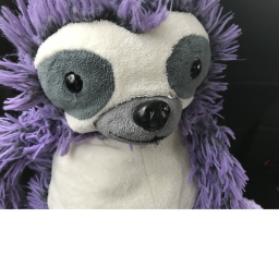 #monkeys!