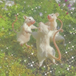 Enchanted Dreamers