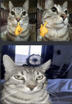 huwa