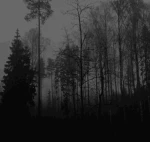 Elyions Group Thumbnail