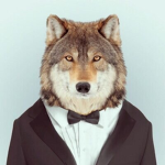 WOLF CLAN/CLOTHING