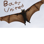 Bats United! :)