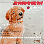 - raspberry blvd -