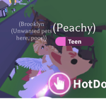 Sweet Robux Store