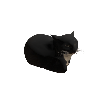 Maxwell the Cat