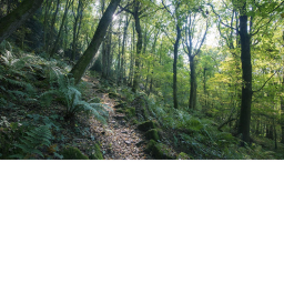 Da Woods