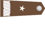 Średniоwiecze