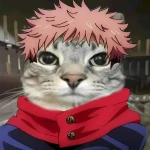 [🌊]Jujutsu Randomizer