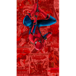 Spidey Universe