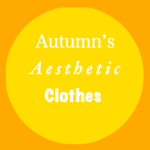 Autumn’s Aesthetic clothes