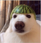 Suolastaa's General