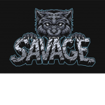 21 SAVAGE //SAVAGE FROM DAY ONE//