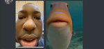 Epic Roux Boys