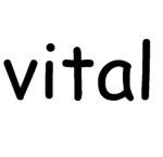 VITAL | COMMUNITY