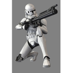 The Army of the Republic {{TAR}}