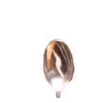 TheSpoons