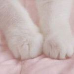 ⋆｡˚୨୧˚｡⋆