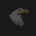 Liberty Interactive