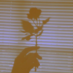 .･Flower life・.