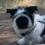 The Ultra Epic Pro Gamer Group