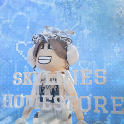Skylines Homestore