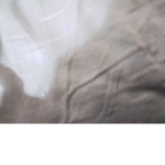 Sdygredg