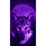 Wolfs are literally the best