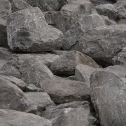 birds and six stones
