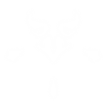Vel Studios