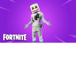Team gortnute