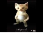 Los Panas de Dani
