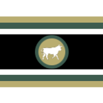 Southern Resistance Movement