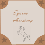 <.+*Equine Academy*+.>