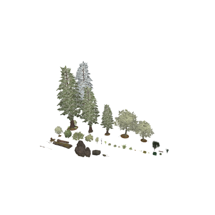 Forest Models