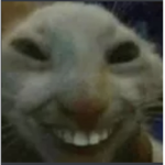 The Golden Grin Pirates ­