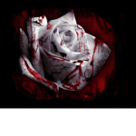 bloodyrose in hell