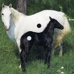 HØRSE POW3R
