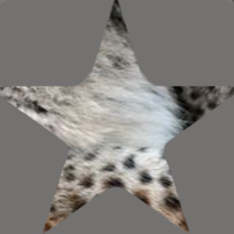 ʚ 𝑵𝒐,
