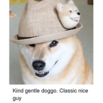 western Doge (the wild west)