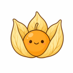 Physalis Studio