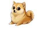 #The lucky doge