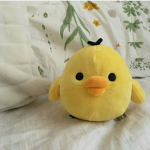 The chicks place