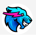 Mr.beast gaming