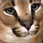 bhynbnhb