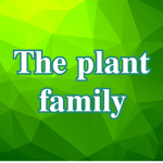 【The plant family】