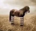 Spring Horse HQ Group Thumbnail