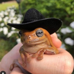 THE FROG ARMYl