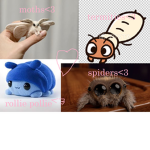 Critter club! <3