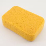 Sponge Place